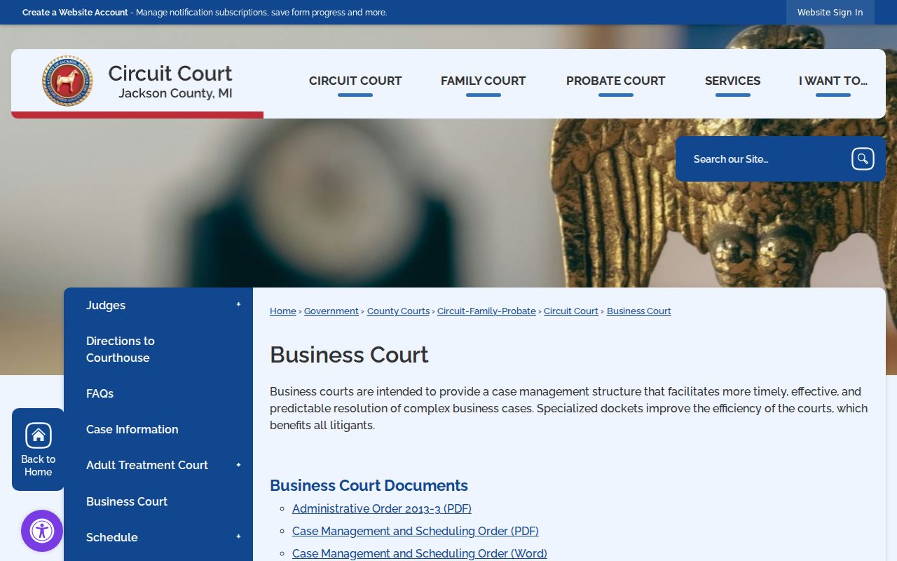 Jackson County criminal docket and 4th Circuit Business Court information
